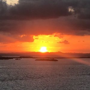 Meet your Posher, Elissa